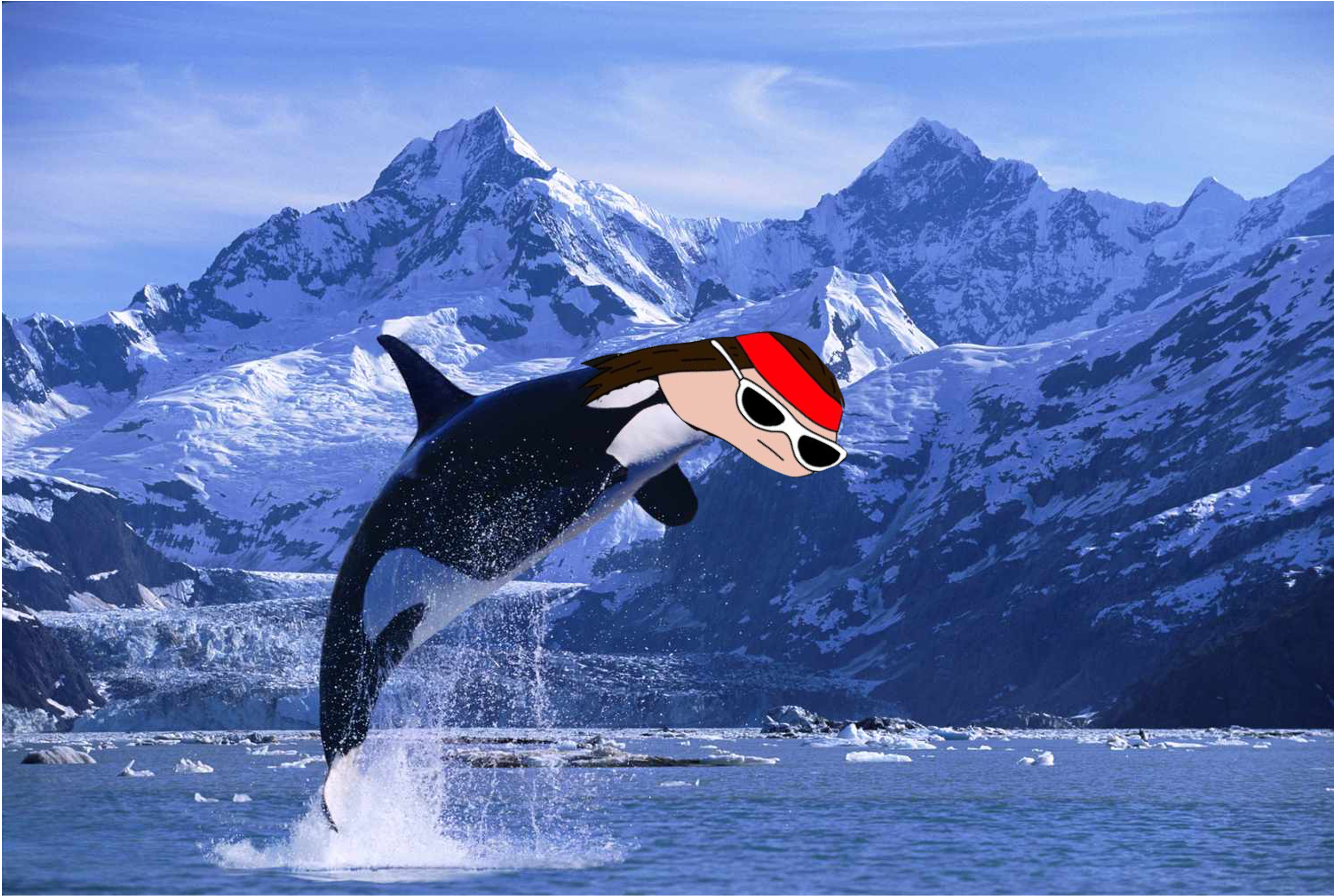 giller whale